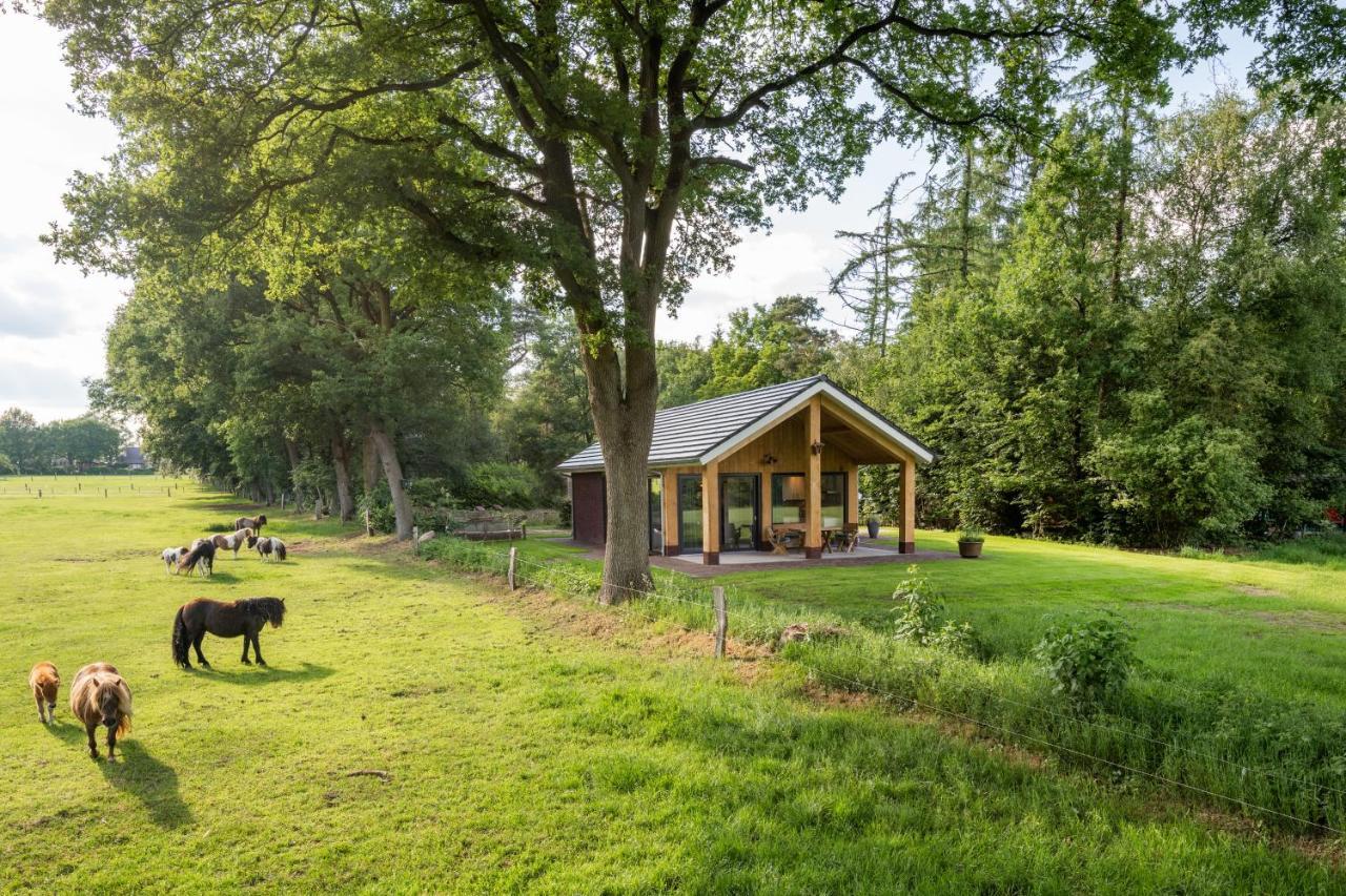 Bungalowpark Bij De Bronnen Nutter Dış mekan fotoğraf